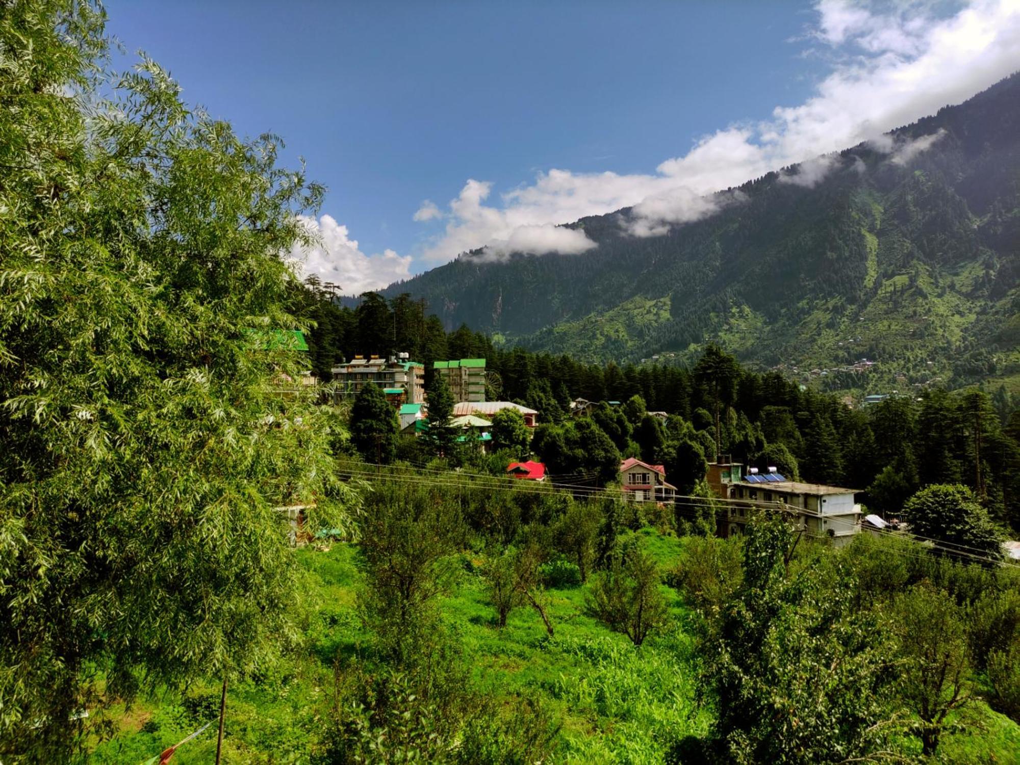Nomadic Den Manali Hostel Exterior photo