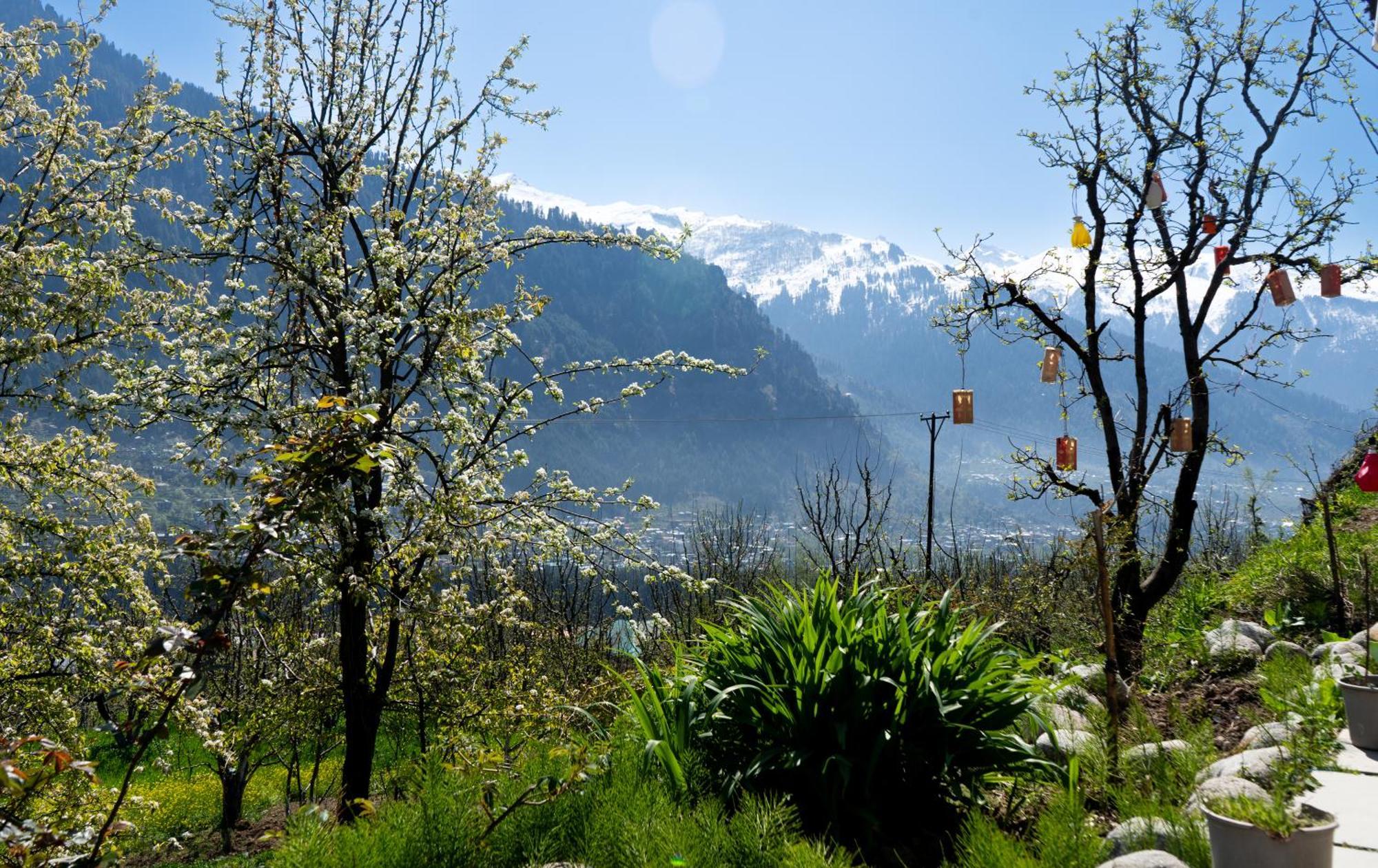 Nomadic Den Manali Hostel Exterior photo