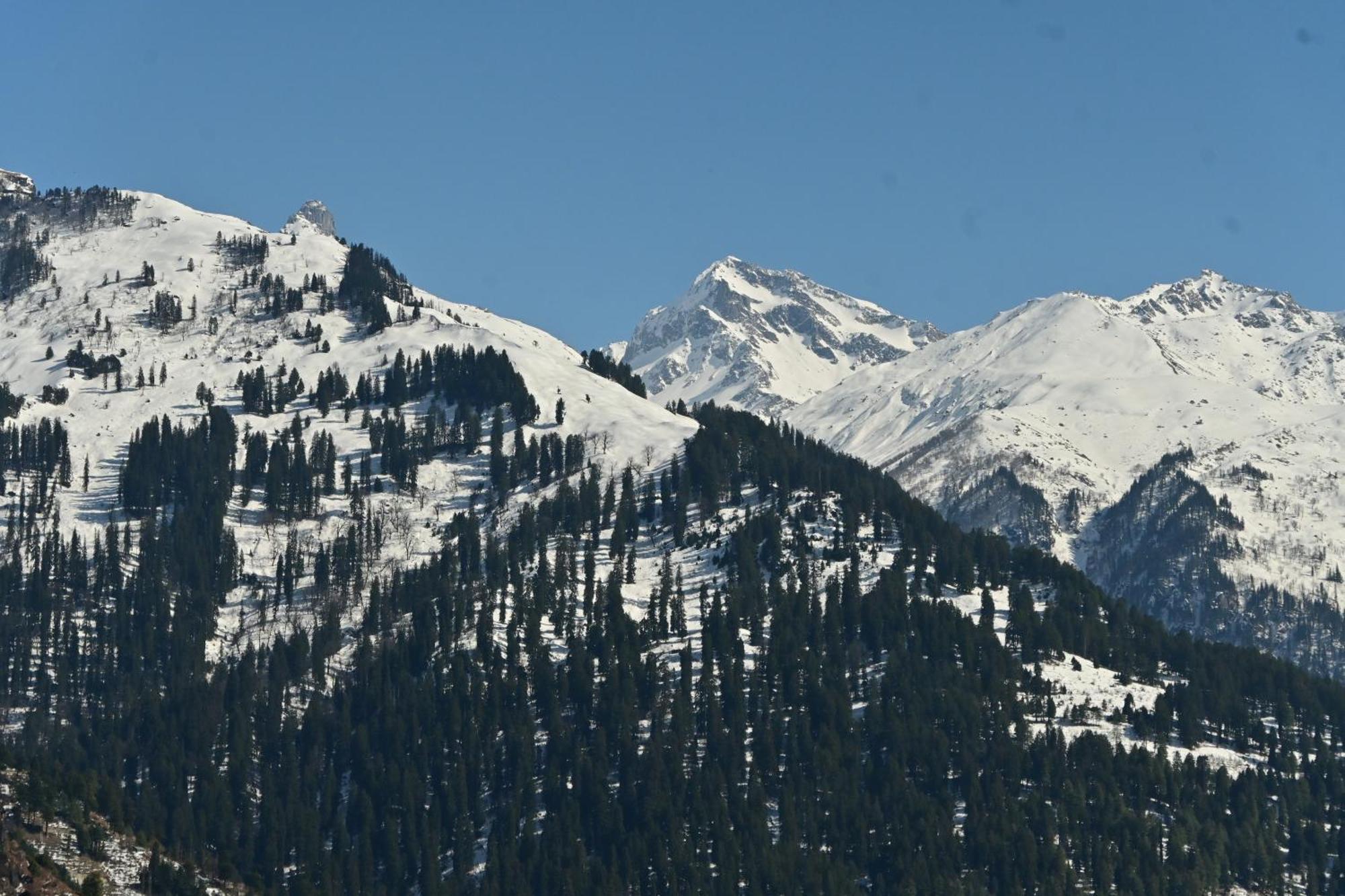 Nomadic Den Manali Hostel Exterior photo